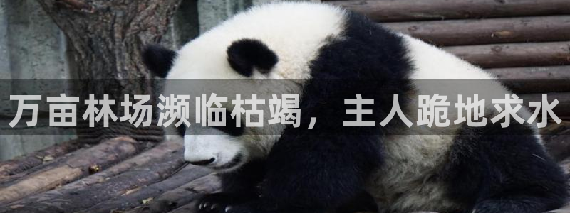 球友会比赛结果查询网站