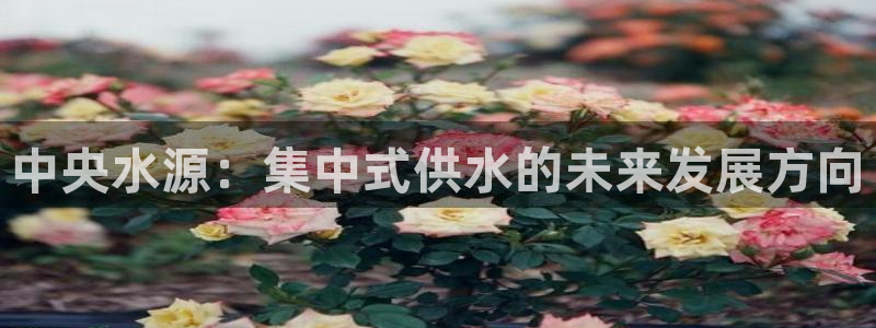 球友会的会字是哪个会
